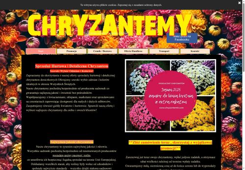 chryzantema.eu