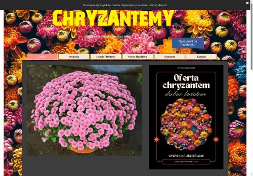 chryzantemki.com