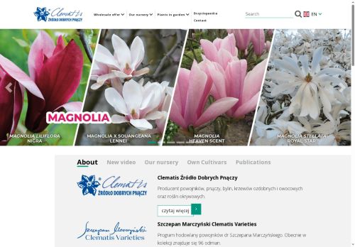 clematis.com.pl