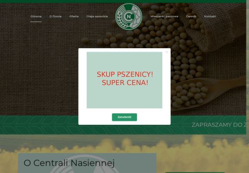 cnsanok.pl
