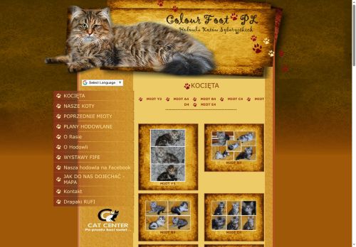colourfoot.pl