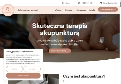 czubek-igly.pl