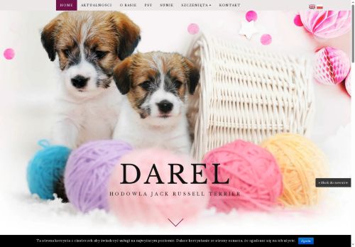 darel.pl