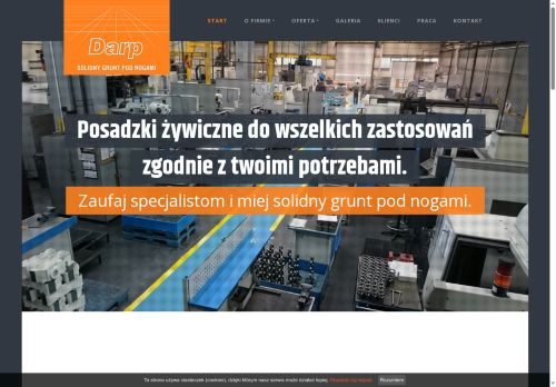 darp.pl
