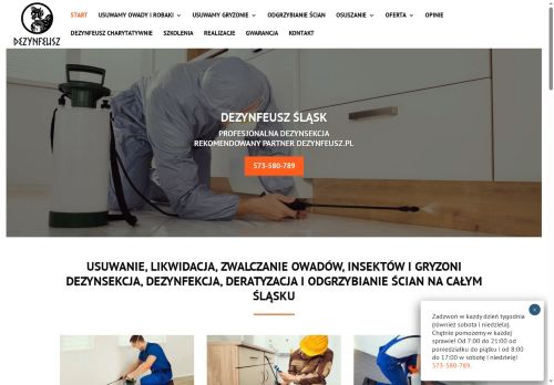 ddd-katowice.pl