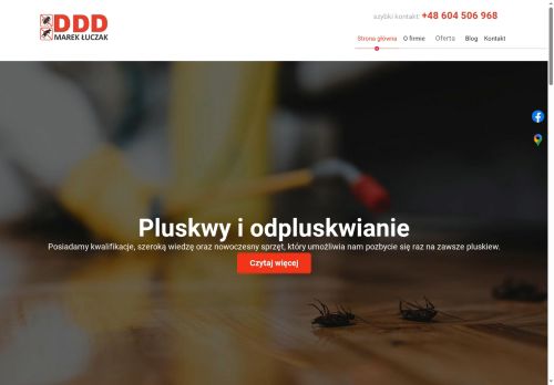 ddduslugi.info
