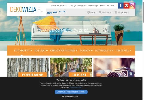 dekowizja.pl