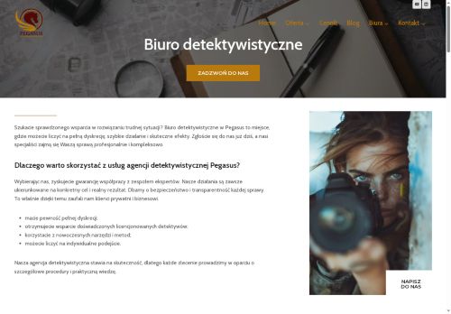detektyw-agencja.pl