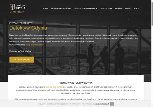 detektyw-gdynia.com.pl