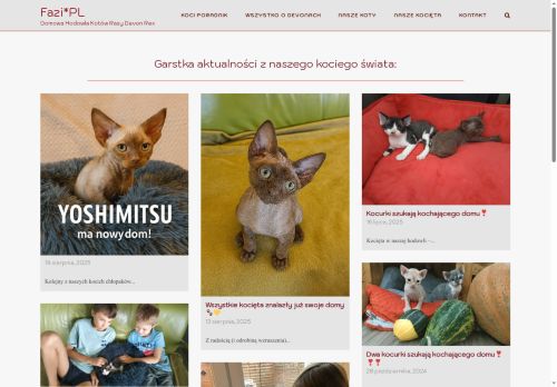 devon-rex.pl