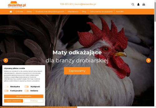 dezenfex.pl