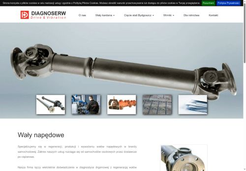 diagnoserw.pl