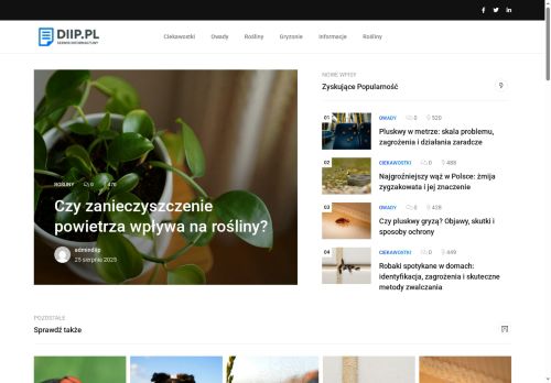 diip.pl