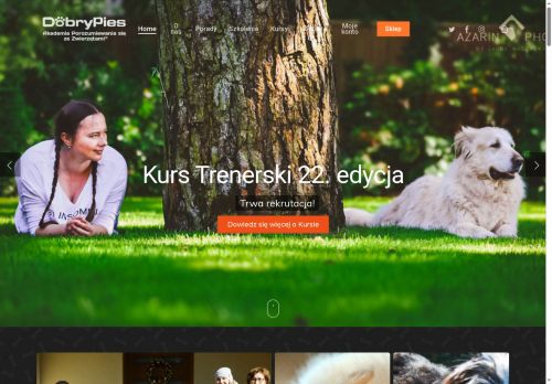 dobrypies.pl