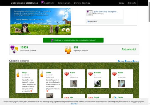 dognet.pl
