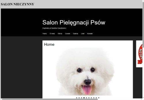 dogsalon.pl