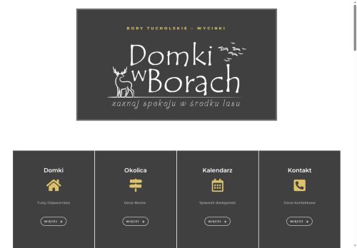 domkiwborach.pl