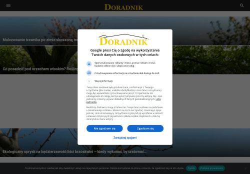 doradnik.pl