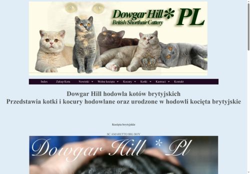 dowgarhill.pl