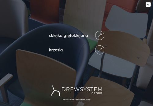 drewsystem.pl