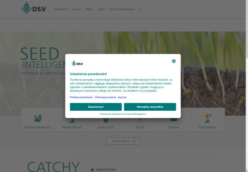 dsv-polska.pl
