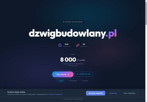 dzwigbudowlany.pl
