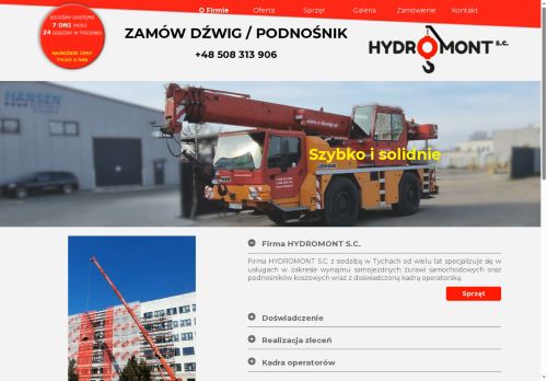 e-dzwigi.pl