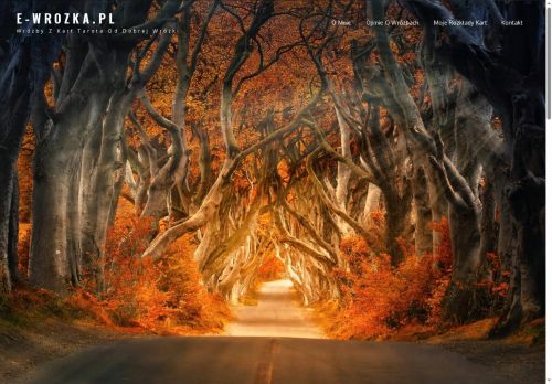 e-wrozka.pl