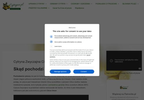 ecytryna.pl