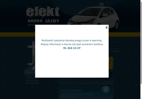 efekt-szczecin.pl