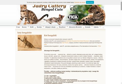 ekoty.pl