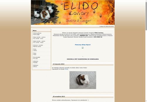 elidocaviary.vot.pl