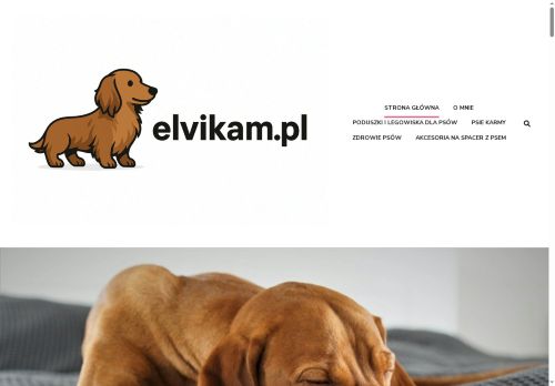 elvikam.pl