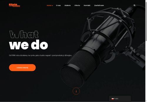 elvisvantomato.com