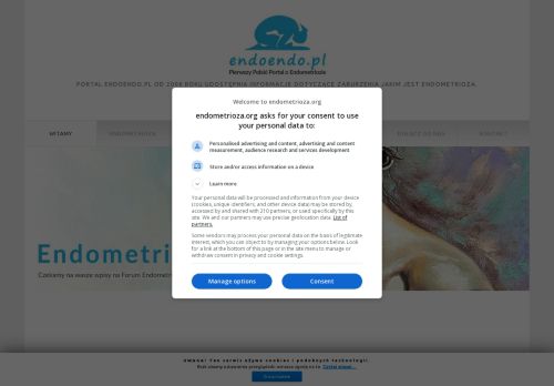 endometrioza.org