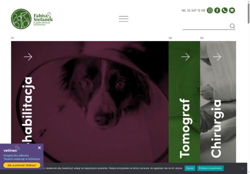 fabisz-stefanek.pl