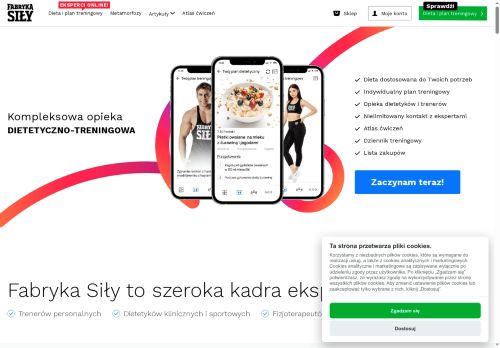 fabrykasily.pl
