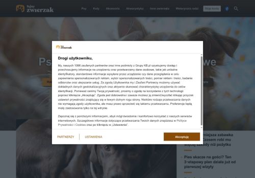 fajnyzwierzak.pl