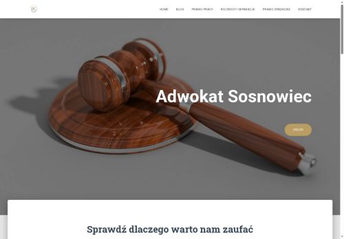 faktysosnowiec.pl