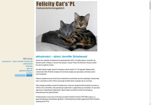 felicitycats.tryki.pl