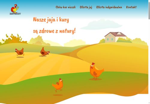 fermabrychcy.pl
