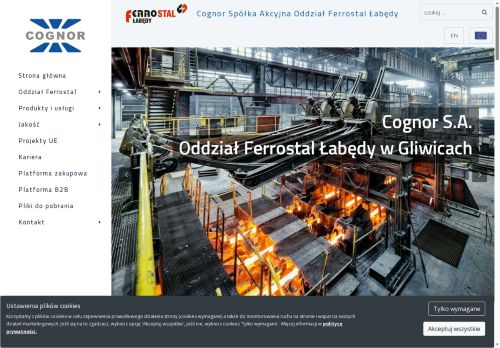ferrostal.com.pl