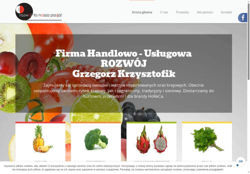 fhurozwoj.pl