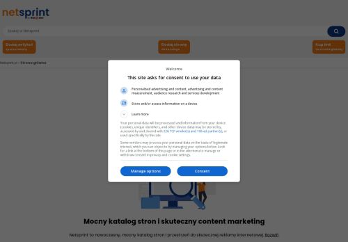 firma.netsprint.pl