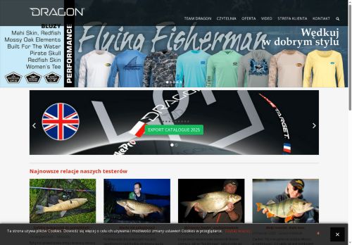 firmadragon.pl