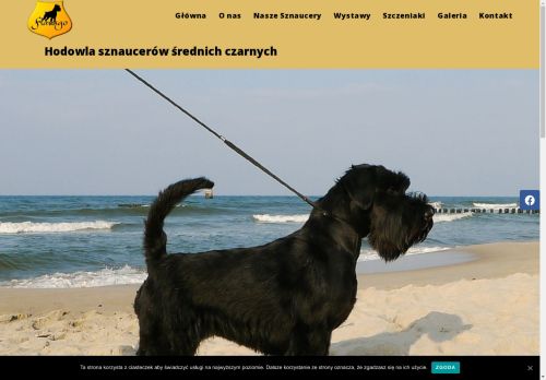 flavago.pl