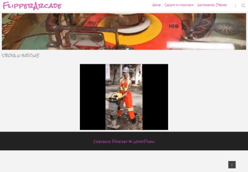 flipperarcade.com