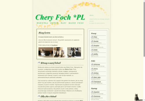 foch.info