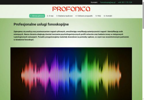 fonoskopia.org.pl