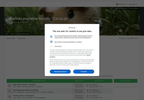 forum.cavia.pl